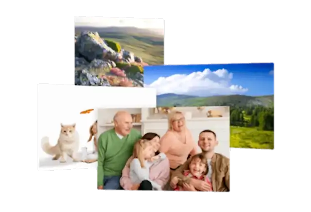 Фотографии